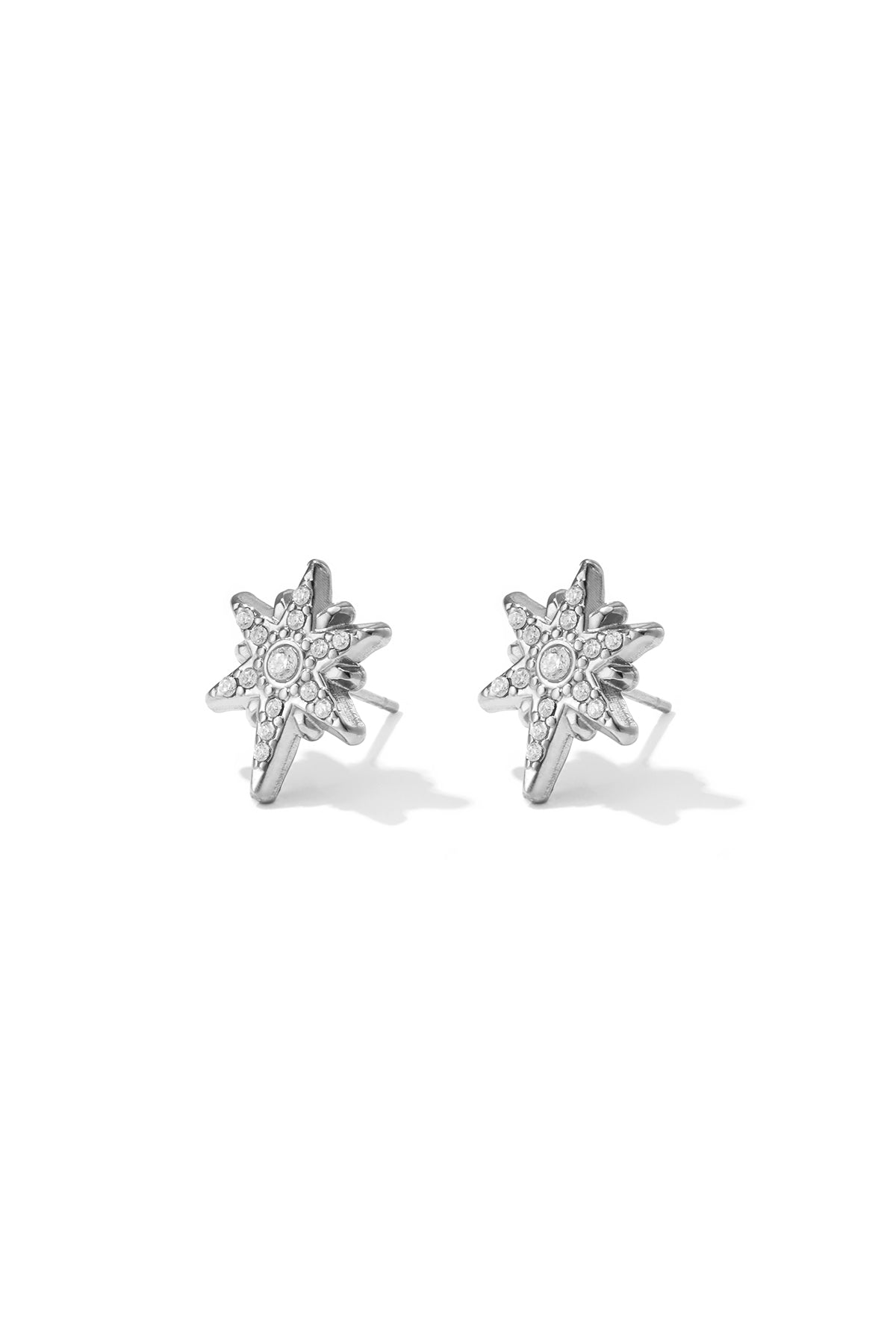 Stainless Steel Stud Earrings Irregular Shape Casual Daily Simple Series Women's jewelry