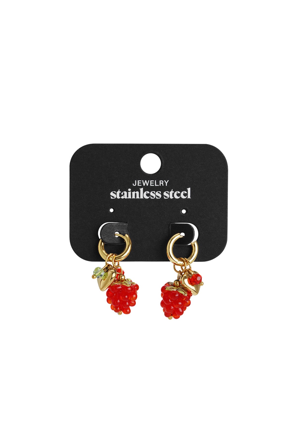 Stainless Steel Drop Earrings fruit Daily Daily Simple Series Women's jewelry