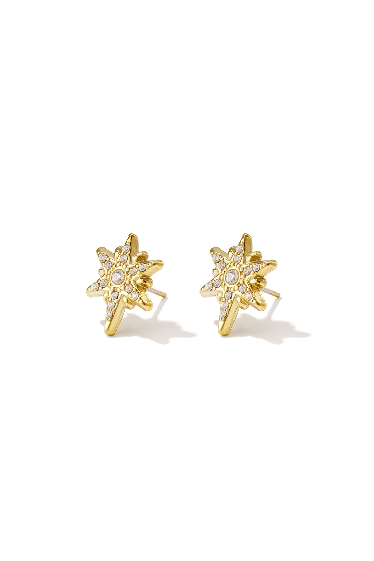 Stainless Steel Stud Earrings Irregular Shape Casual Daily Simple Series Women's jewelry
