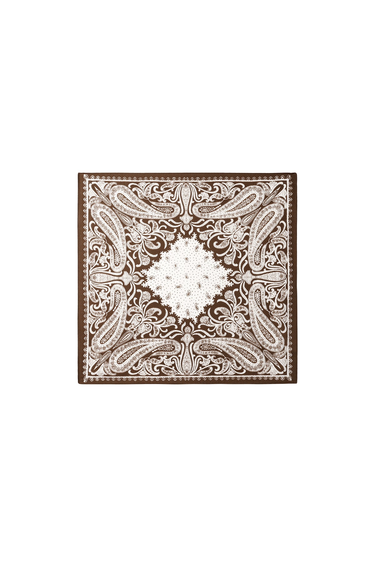 Winter scarves Paisley Pattern Classic Velvet Daily Accessories